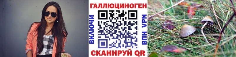 закладка  Архангельск  Галлюциногенные грибы Magic Shrooms 